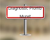 Diagnostic Plomb avant démolition sur Muret